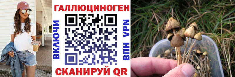 где продают наркотики  Эртиль  Псилоцибиновые грибы мицелий 
