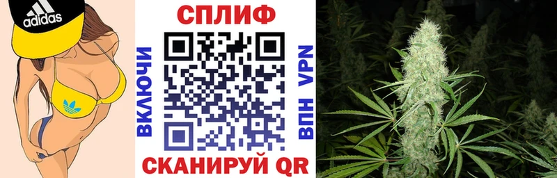 Бошки Шишки марихуана Эртиль